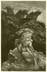 Der Löwe und die vier Stiere