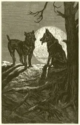 Der Wolf und der Mastiff