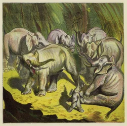 Der Elefant, der seinen Schwanz verlor