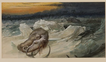 Wollmammut