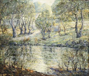 Pfad zum Fluss