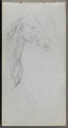 Skizzenbuch, Seite 07: Studie eines Pferdes
