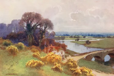 Themse: Shillingford Bridge