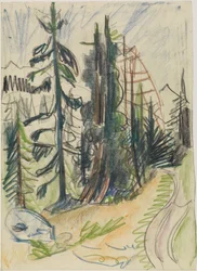 Bergtannen und Weg