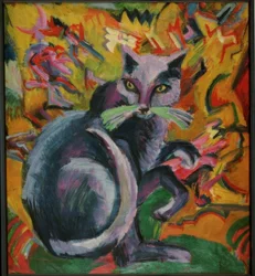 Grauer Kater auf Kissen