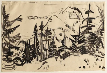 Berglandschaft mit Tannen