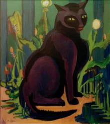 Schwarzer Kater (Kater Bobby)