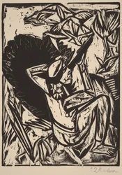 Der Möwenjäger