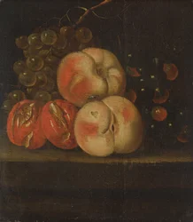 Fruchtstudie