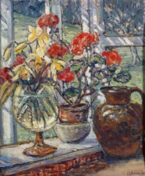 Geranien