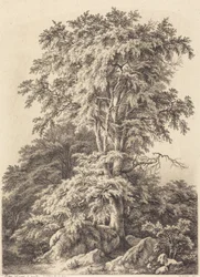 Buchenhain