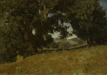 Landschaft