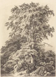 Buchenhain