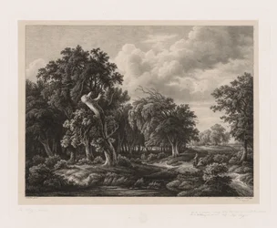 Gruppen verschiedener Pflanzen nach der Natur gezeichnet: Nr. 7, 1855