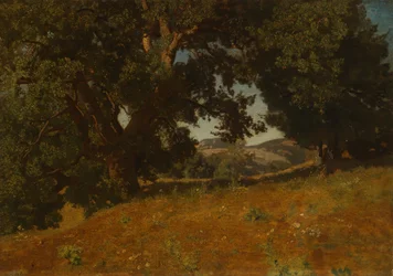 Landschaft