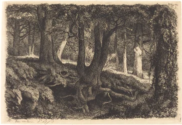 Baum mit Wurzeln (L