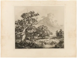 Die alte Eiche bei den Teichen von Bellecroix