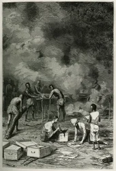 Das Trocknen von Herbariumpflanzen auf großen Bambusmatten, bevor der Arzt sie klassifiziert und in seinen Kisten aufbewahrt, Gravur von Eugene Burnand, zur Illustration der Geschichte von Laos und den wilden Bevölkerungen Indochinas von Dr. Harmand, im Ja