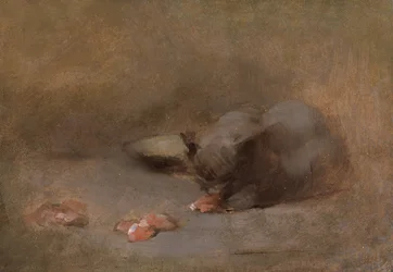 Katze beim Essen