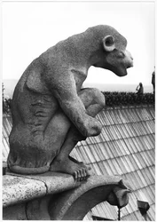 Affe-Wasserspeier, von der Balustrade der Grande Galerie der Westfassade, Replik eines Originals aus dem 12. Jahrhundert