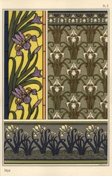 Die Iris in verschiedenen Mustern