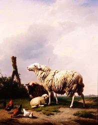 Schafe und Geflügel in einer Landschaft