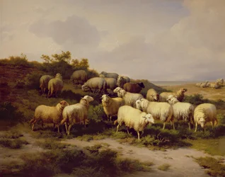Schafe an der Küste, 1878