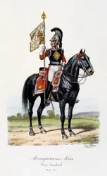 Schwarze Musketiere, Standartenträger, 1814-15