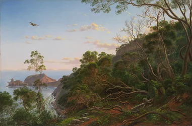 Teebäume in der Nähe von Cape Schanck, Victoria