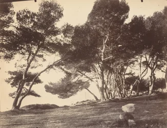 Cannes, Île Saint Honorat