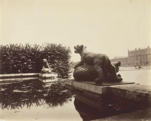 Versailles, Fontaine du Point du Jour, Tiger besiegt einen Bären von Houzeau, 1903