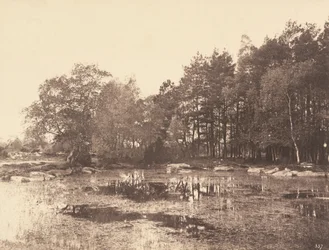 Sumpf am Piat Belle-Croix Plateau, ca. 1863