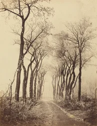 Straße und Bäume mit Raureif, 1860