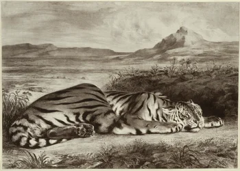Königlicher Tiger