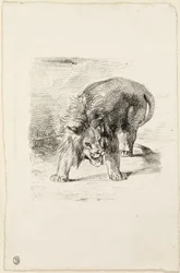 Stehender Löwe