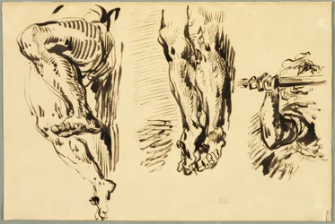 Studie von Armen und Beinen des gekreuzigten Christus