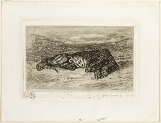 Tiger ruht in der Wüste