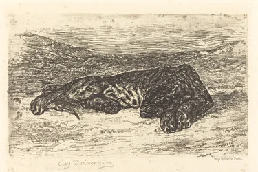 Tiger schläft in der Wüste (Tigre couché dans le désert)