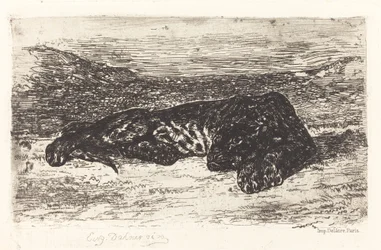Schlafender Tiger in der Wüste