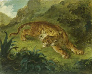 Tiger und Schlange