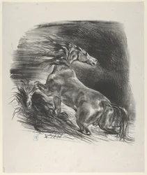 Wildes Pferd, 1828