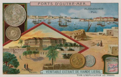 Alexandria