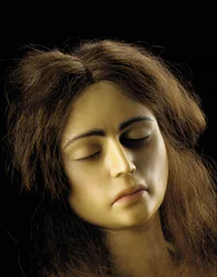 Anatomisches Modell einer Eileiterschwangerschaft (Detail)