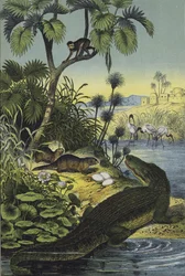 Tiere und Pflanzen des Niltals