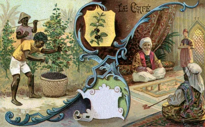 Kaffee, 1899