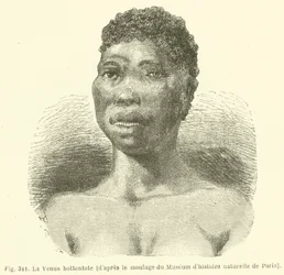 Die Venus Hottentotte (nach dem Abguss des Naturhistorischen Museums in Paris)
