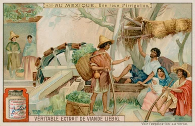 Mexikanisches Bewässerungsrad
