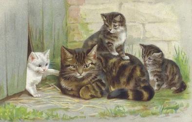 Getigerte Katze mit drei Kätzchen