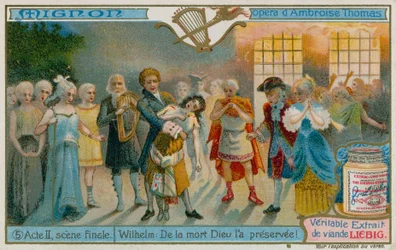 Wilhelm rettet Mignon