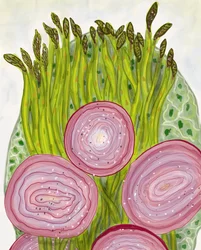 Spargel, Brooklyn